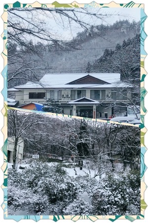26C5AE2A-72F0-4ADC-A345-BD80DC282F3B.jpeg