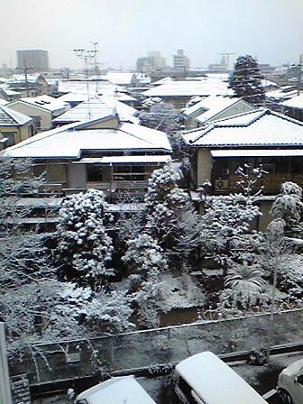 世田谷雪景色.jpg