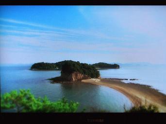 夢の島.JPG