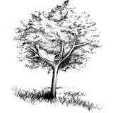 木の図.JPG