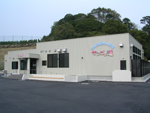 サンゴ.jpg